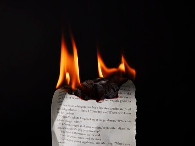 Is It Better to Shred or Burn Documents